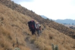 On route to base camp. 